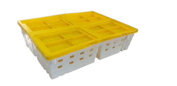 Caja 10-8560 Transportadora de Pollitos Con Tapa 650x500x200 mm